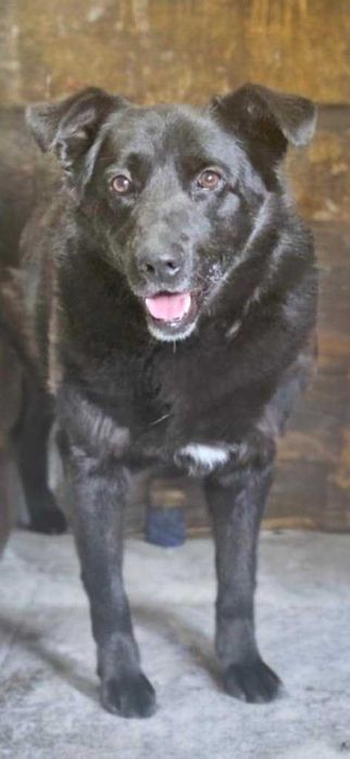 Luka i Diego szukamy cudu ale próbujemy