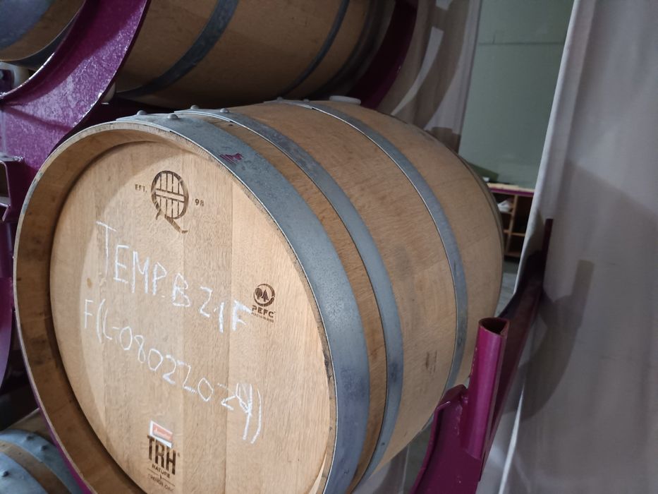 Lotes barricas 225L ex-tinto