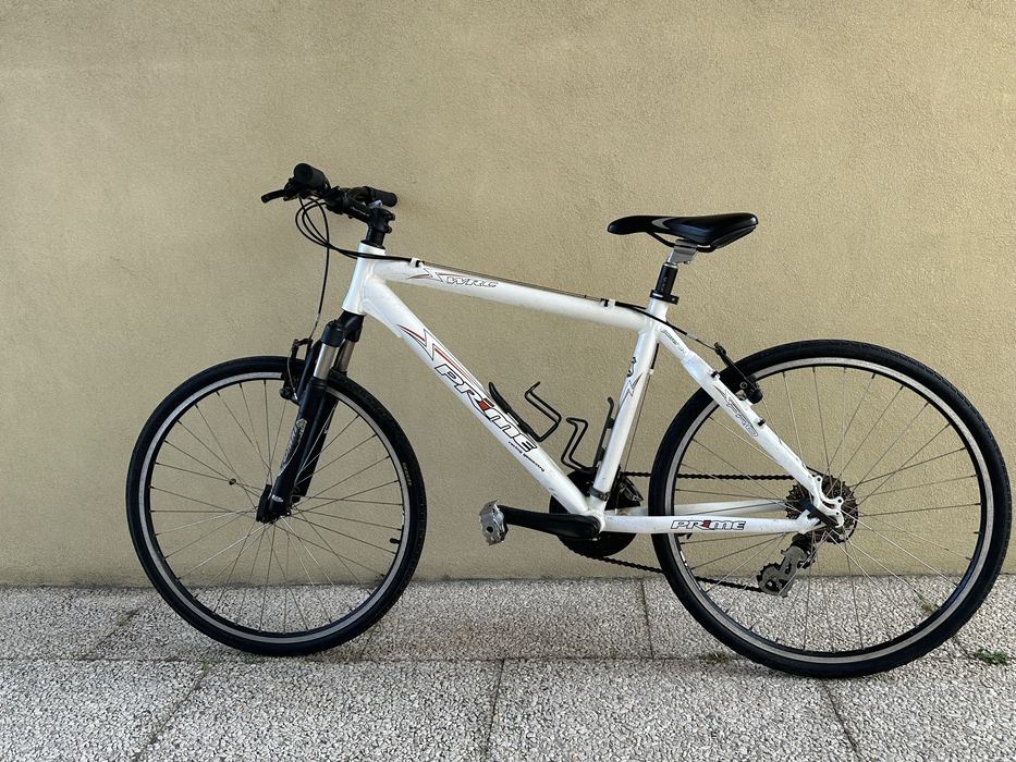 Bicicleta Adulto