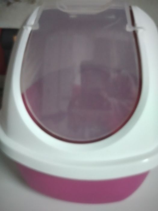 WC para gato pequeno branco e rosa