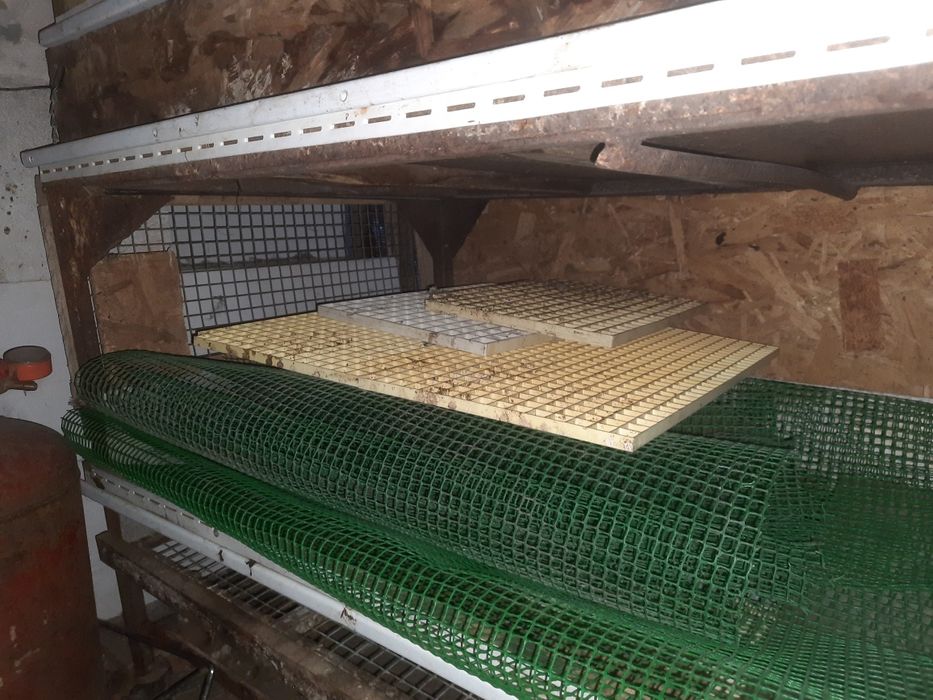 Брудер для птиці.