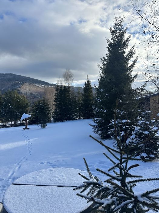 Domek  z Jacuzzi Wichrowe Wzgórze 5 Rajcza