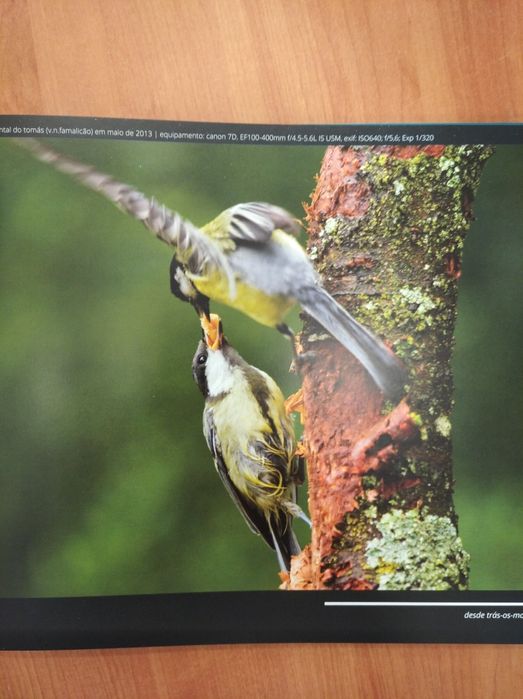Livro "A paixão pelas aves desde Trás-os-Montes" (2015)