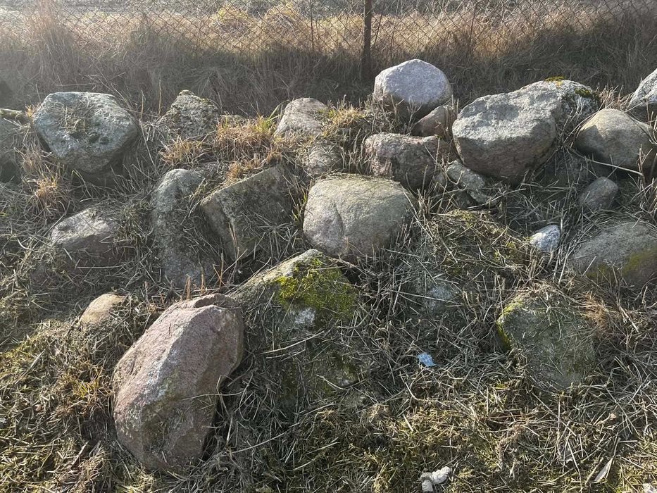 Głazy ozdobne do ogrodu / skalniaka