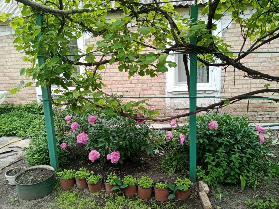 Продам дом в хорошем состоянии