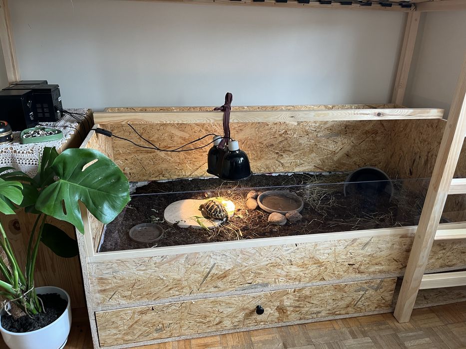 Terrarium/wybieg dla żółwia lądowego lub innych zwierząt np. świnek morskich