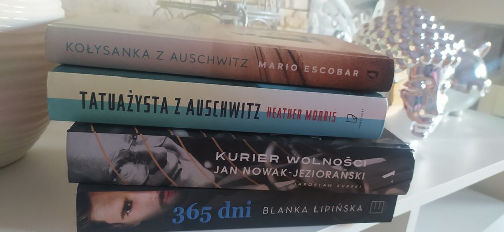 Książka "365 dni" Blanka Lipińska