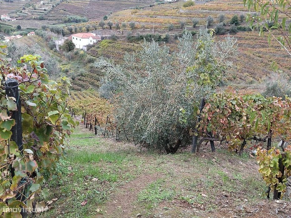 Terreno  para venda