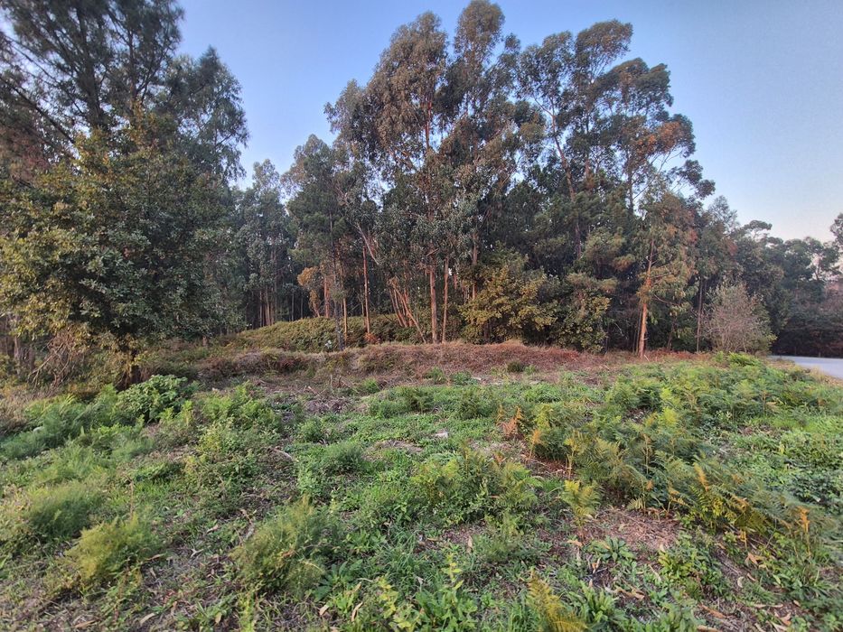 Terreno Rústico Construtivel