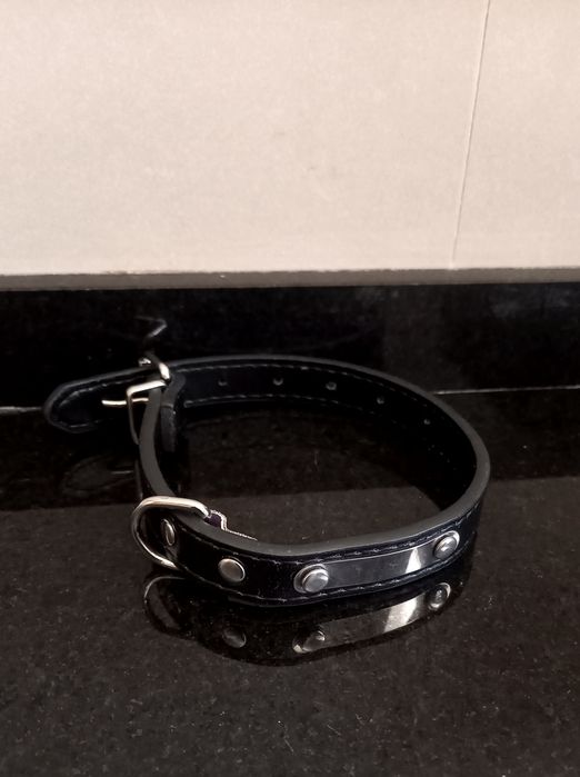 Tapete de brincar Splash com oferta de coleira