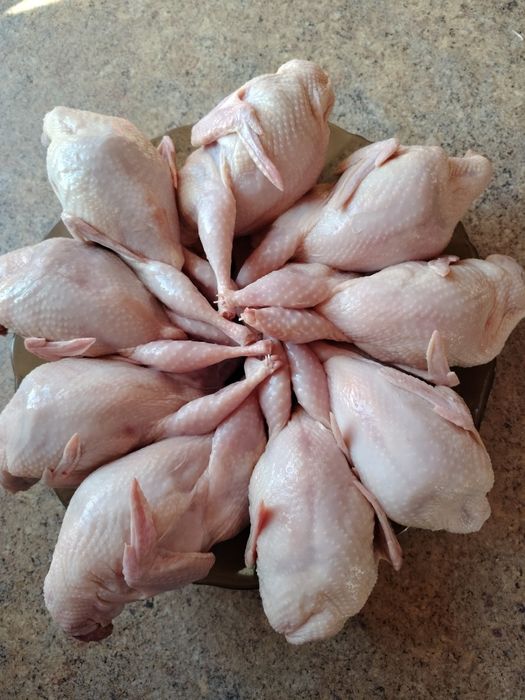 Продам мясо перепёлки (ОПТ, розница)