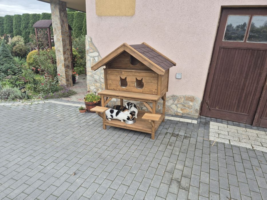 Buda dla trzech  kotów