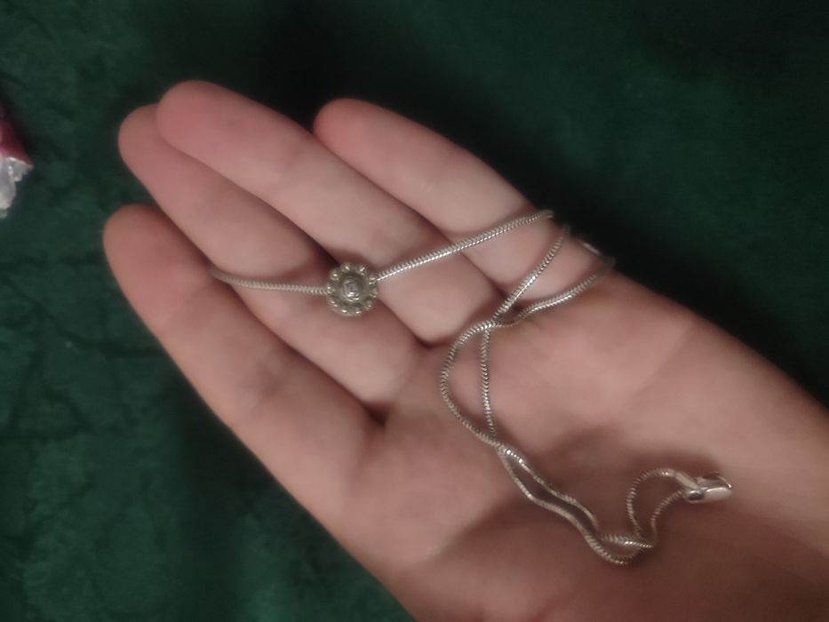 Позолочені сережки та срібний ланцюжок