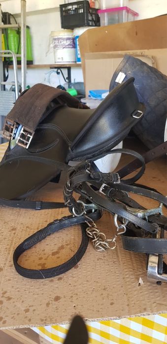 Poney c/s charrete e arreios