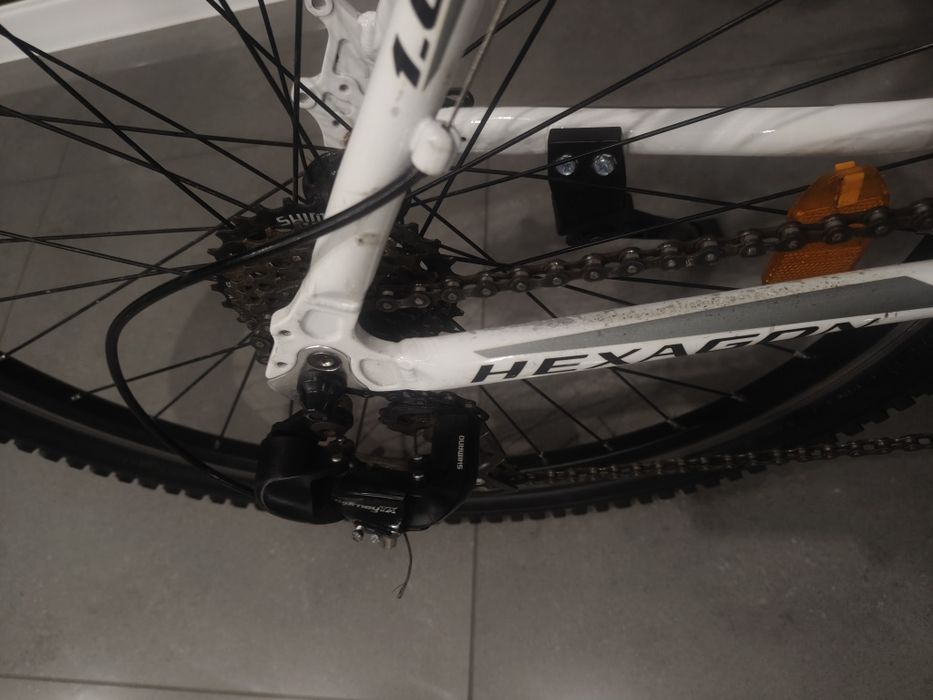 Rower Kross hexagon 1.0  rama L
