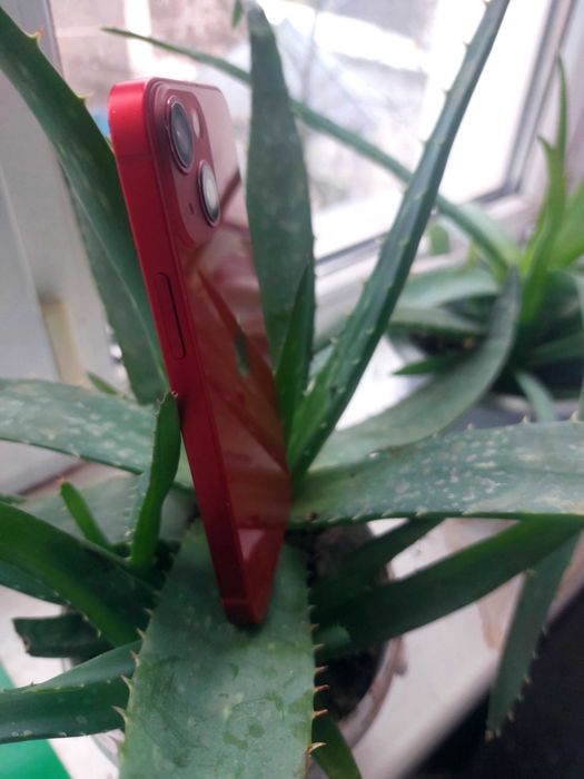 Ipiphone 13mini 128gb