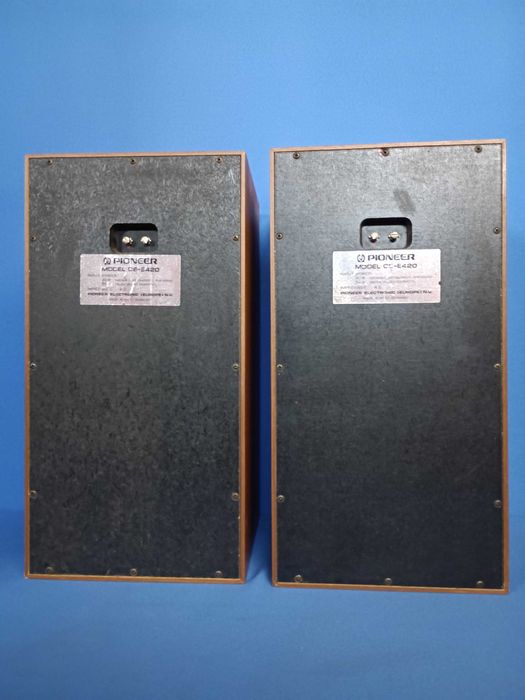 colunas PIONEER CS-E420