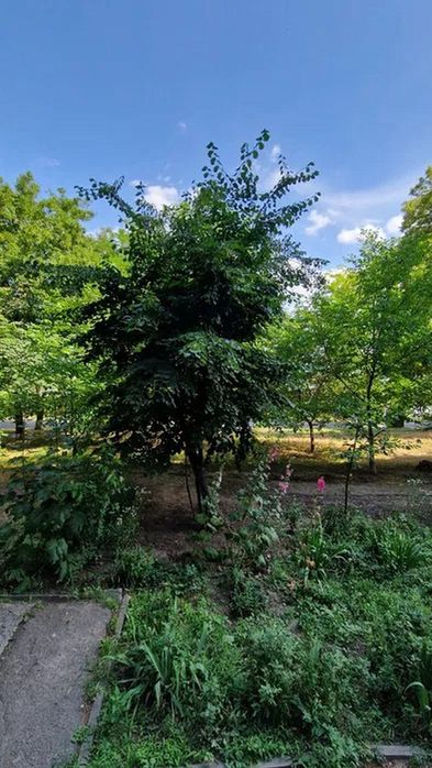 Продам 1-комн квартиру в районе Выборгская ул.