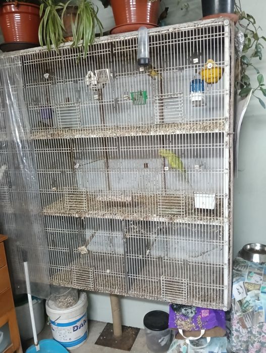 Gaiola de pássaros