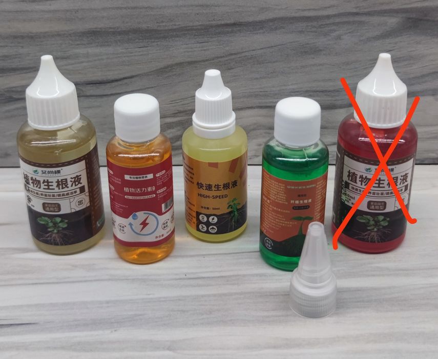 Хойя Hoya Square, Undulata splash та ін.