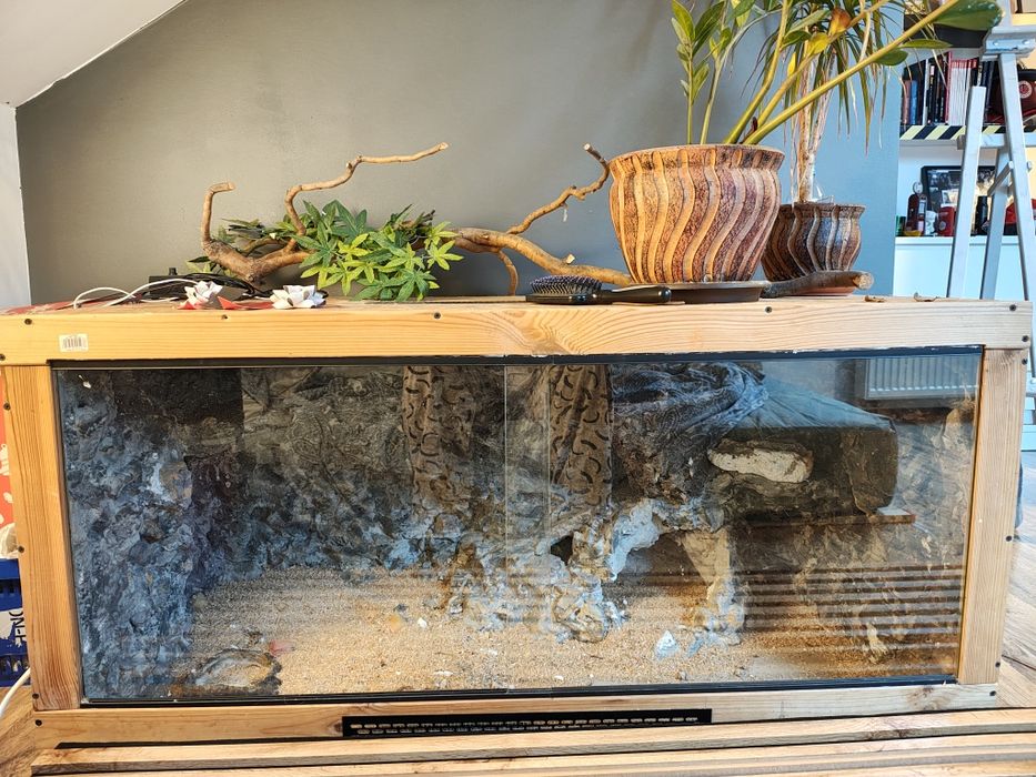 Duże, solidne terrarium