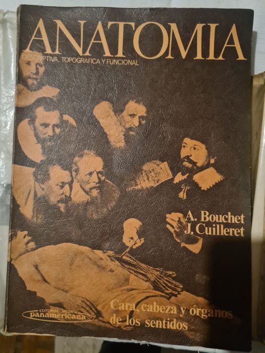 Anotomia Humana Tronco-Membros -Sistema Nervoso Central