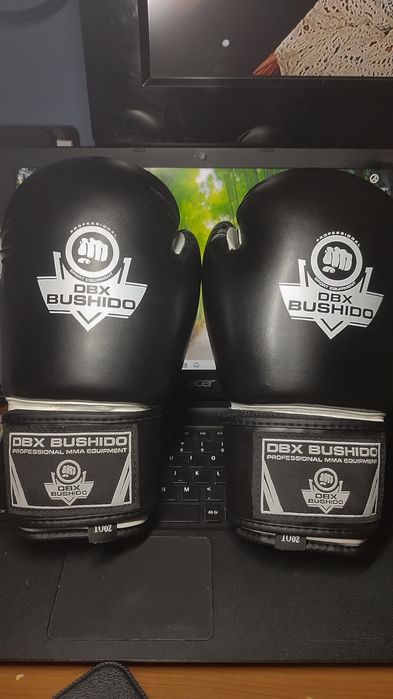 Rękawice bokserskie Bushido DBX