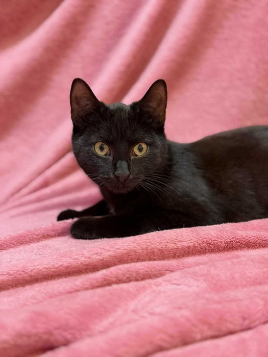 Walduś i Mariola szukają domu