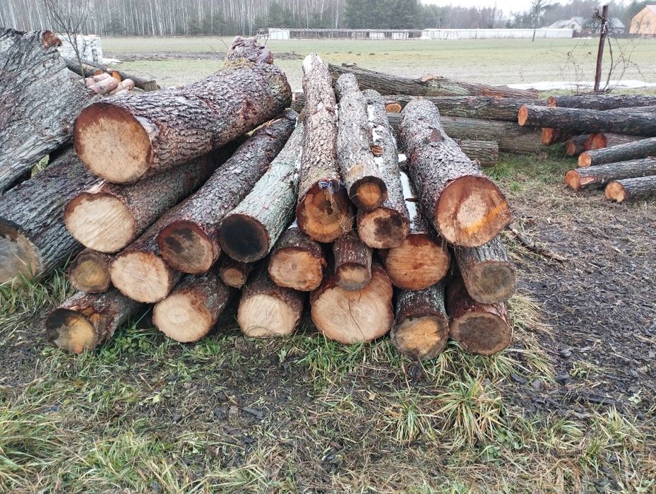 Drewno kominkowe i opałowe