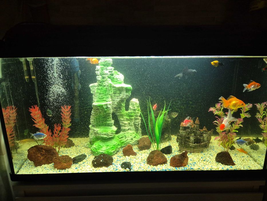 Sprzedam akwarium