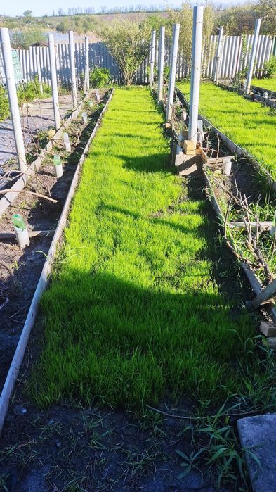 Продам дачу на комправденском водохранилище