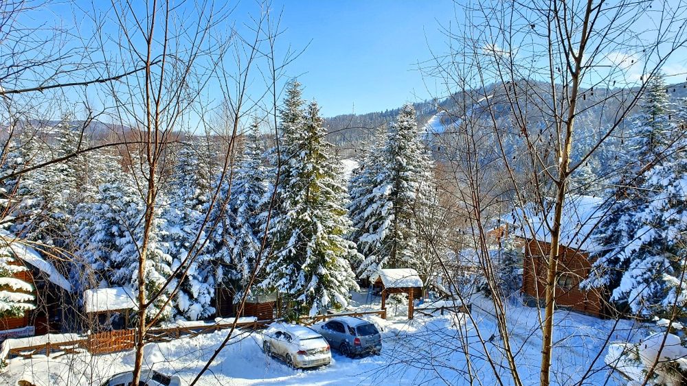 Котедж в Карпатах  Будинок в Мигово, оренда