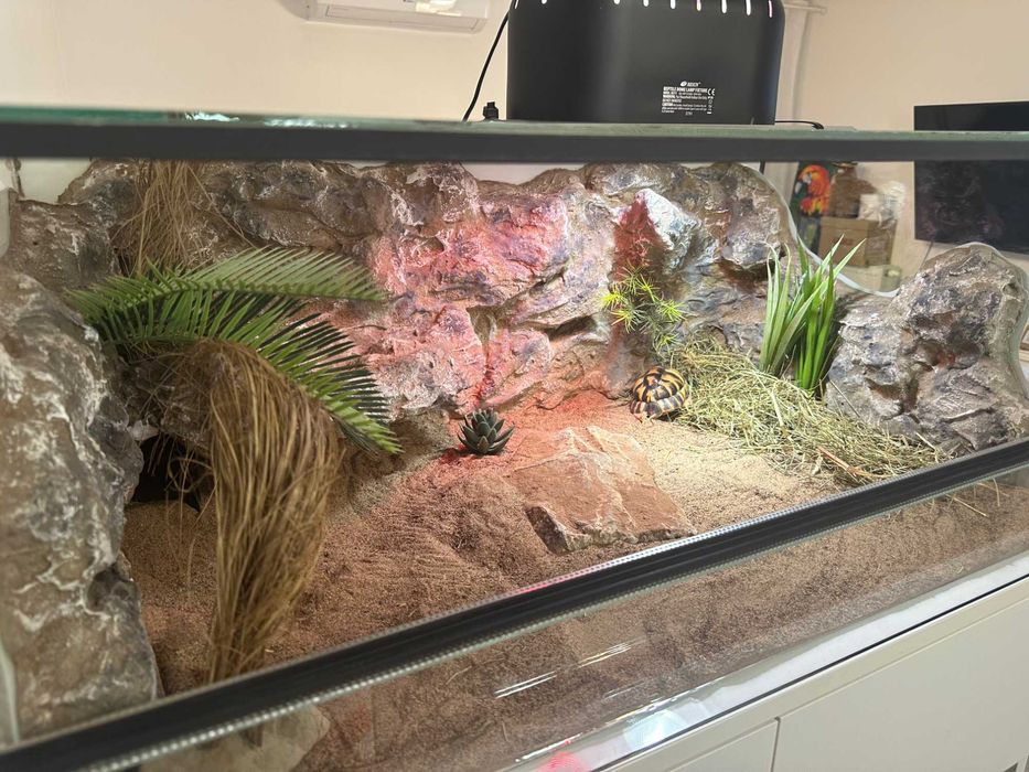 Terrarium ze ścianką\wyposażeniem 85x55x35