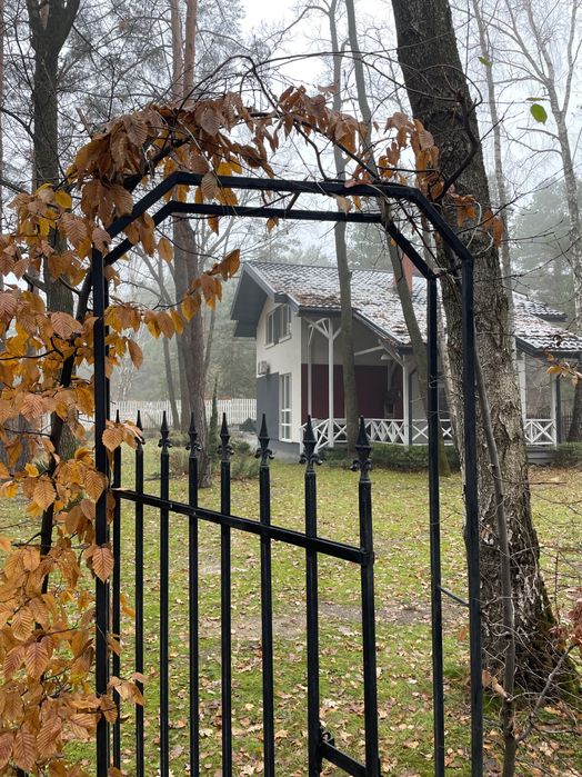 Оренда дім у лісі від власника