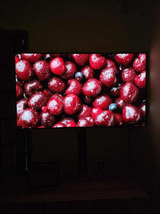 LG Oled 55 polegadas462290957055436800