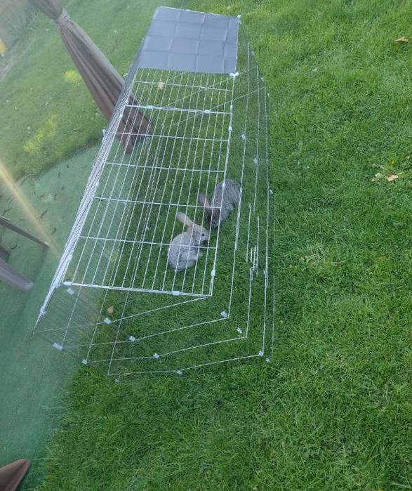 Klatka dla królików zajęcy kur ptaków BOKS KOJEC ZAGRODA z zadaszeniem