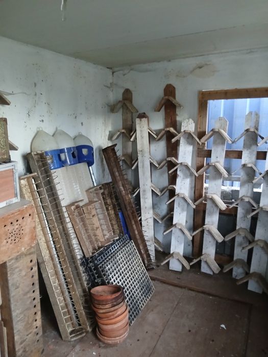 Acessórios para pombos correios