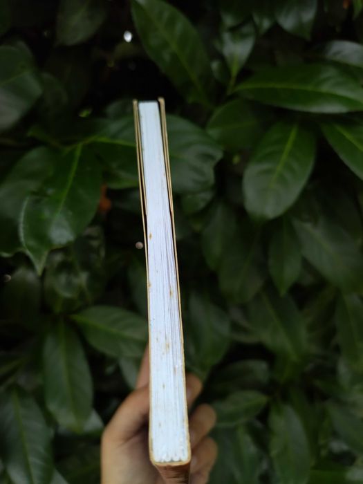 Manual de Tratamento da Dor Crónica (Alice Cardoso)