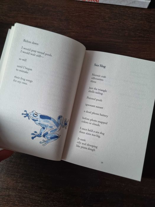 Moonscape for a child Rigby