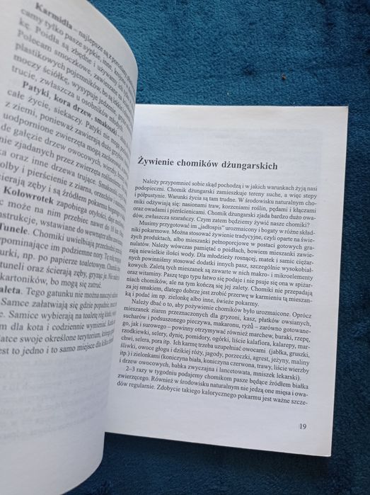 Chomik dżungarski Małgorzata Banach hobby