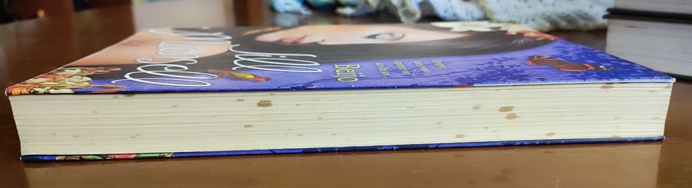 Livro "Beijo" | Jill Mansell