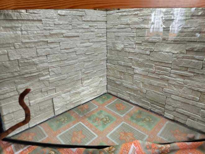 Akwarium narożne  panoram około 180 litrów