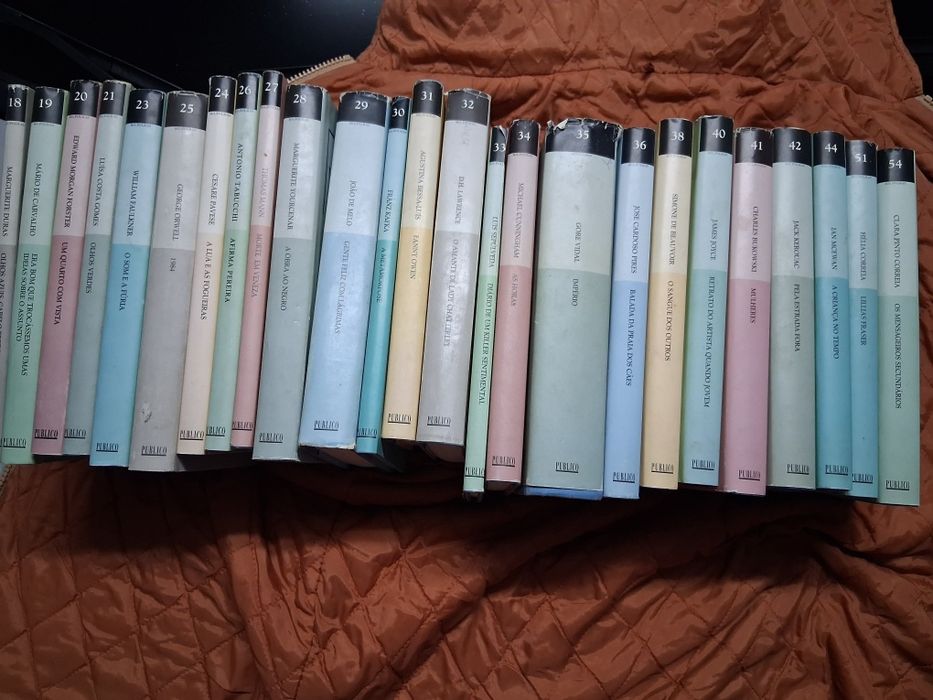 Coleção de livros e suportes