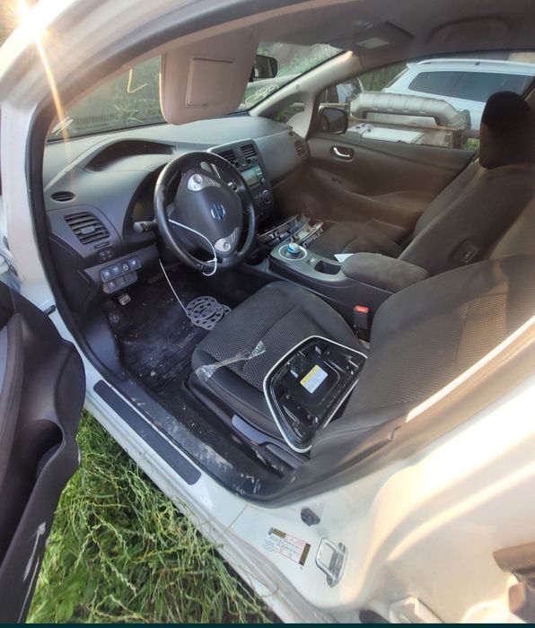 Двері Nissan Leaf