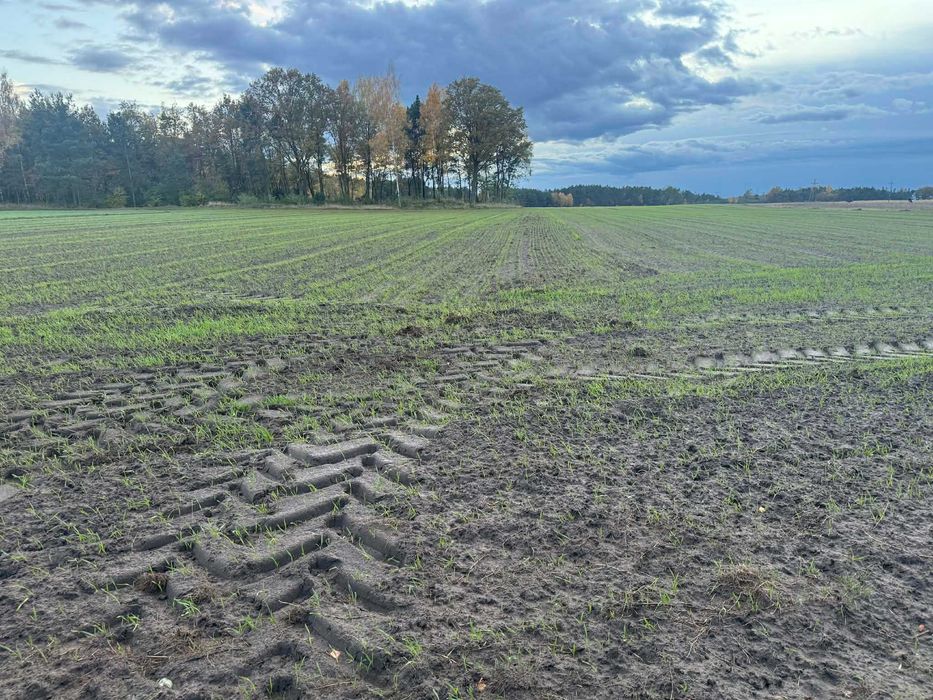 Sprzedam 4ha ziemi w jednym kawałku 90mx460m