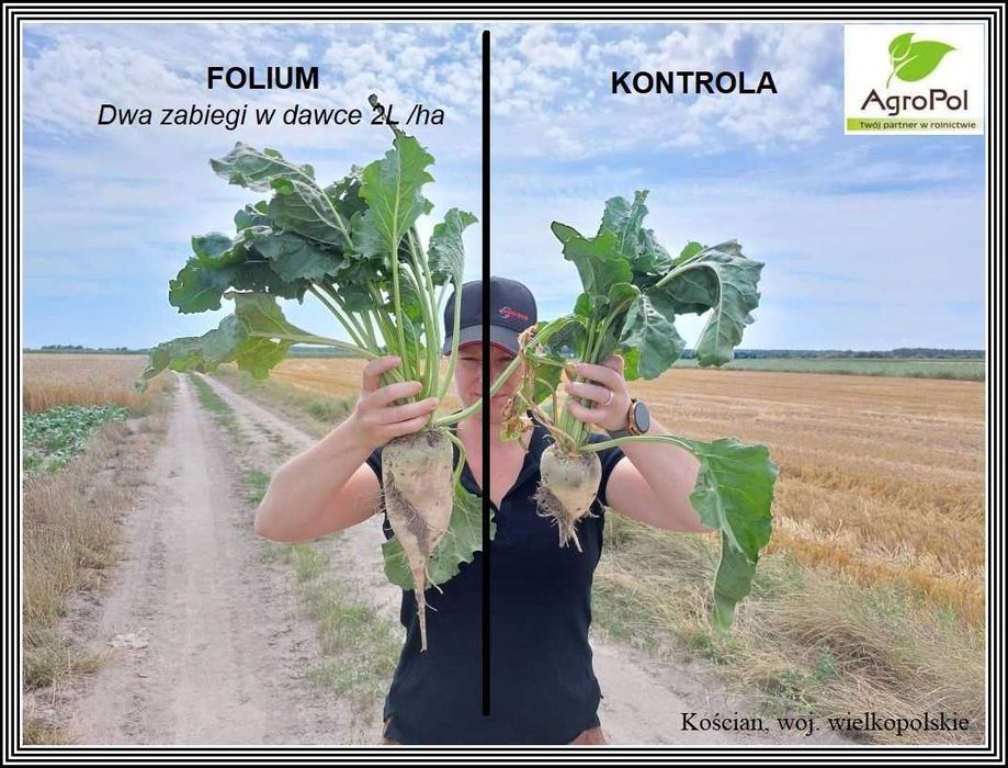 Agro-Sorb FOLIUM 20L Aminokwas Biostymulator Odżywka Nawóz