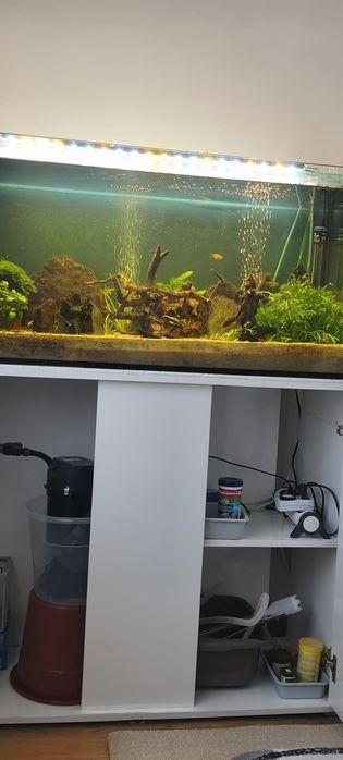 Aquário completo