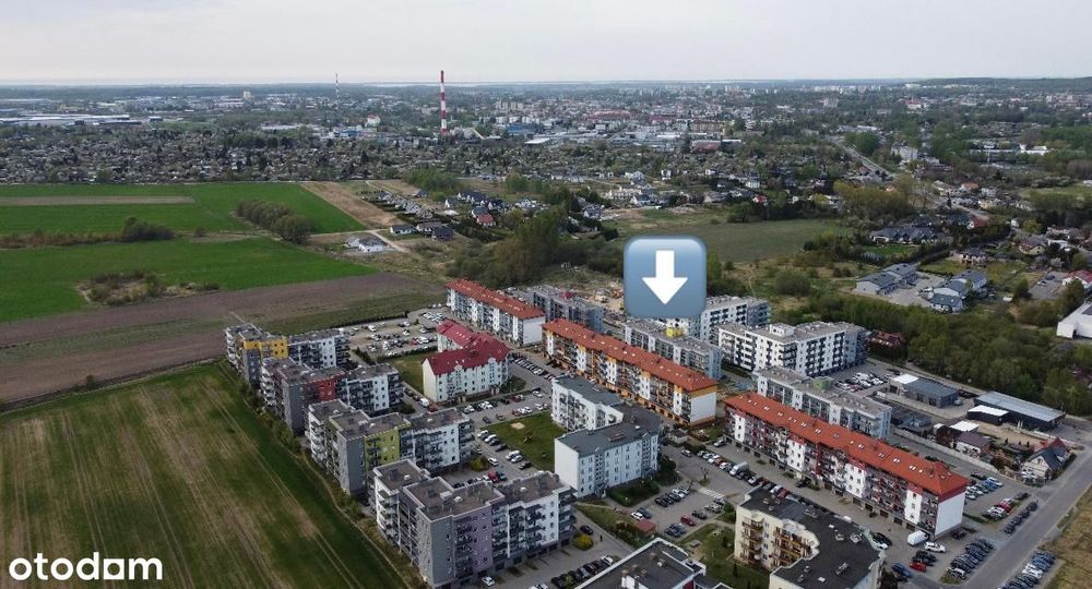 Zdjęcie 8