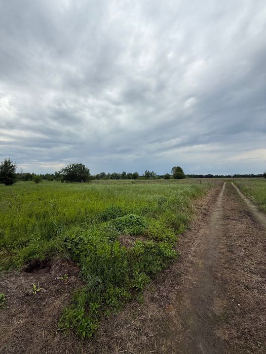 Продаж земельної ділянки
