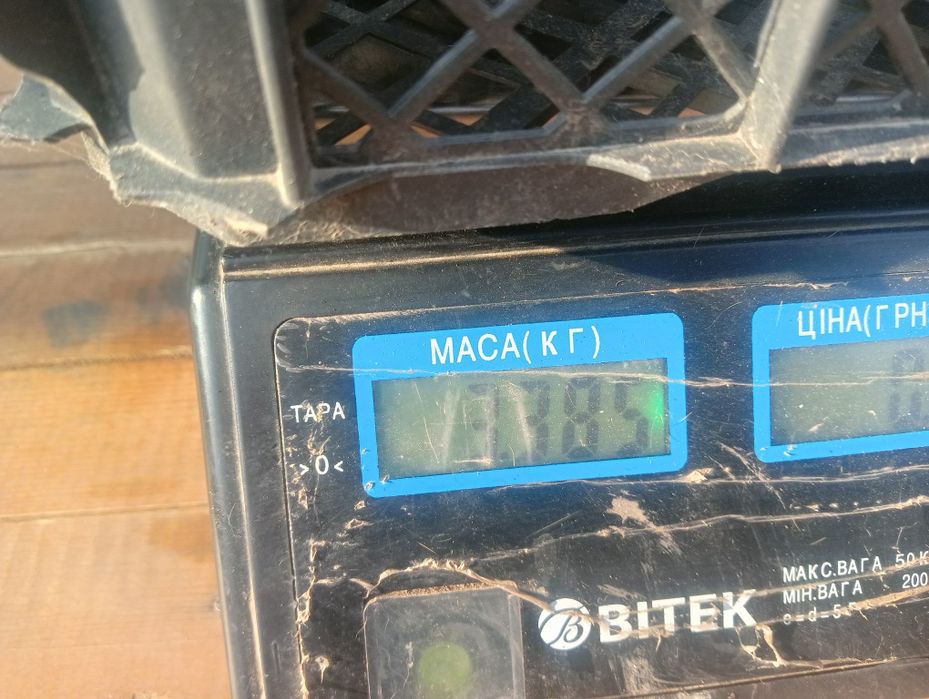 Фландер Бельгійський велетень